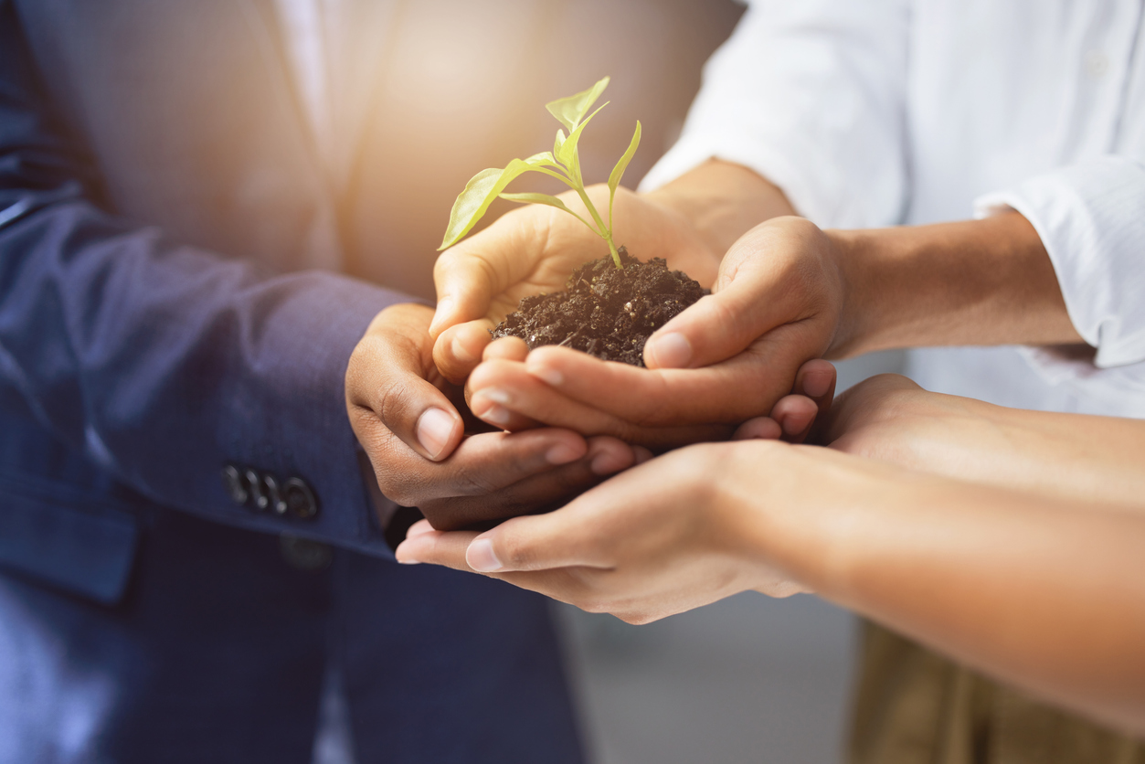 Shot of a group of business people holding a plant growing out of soil