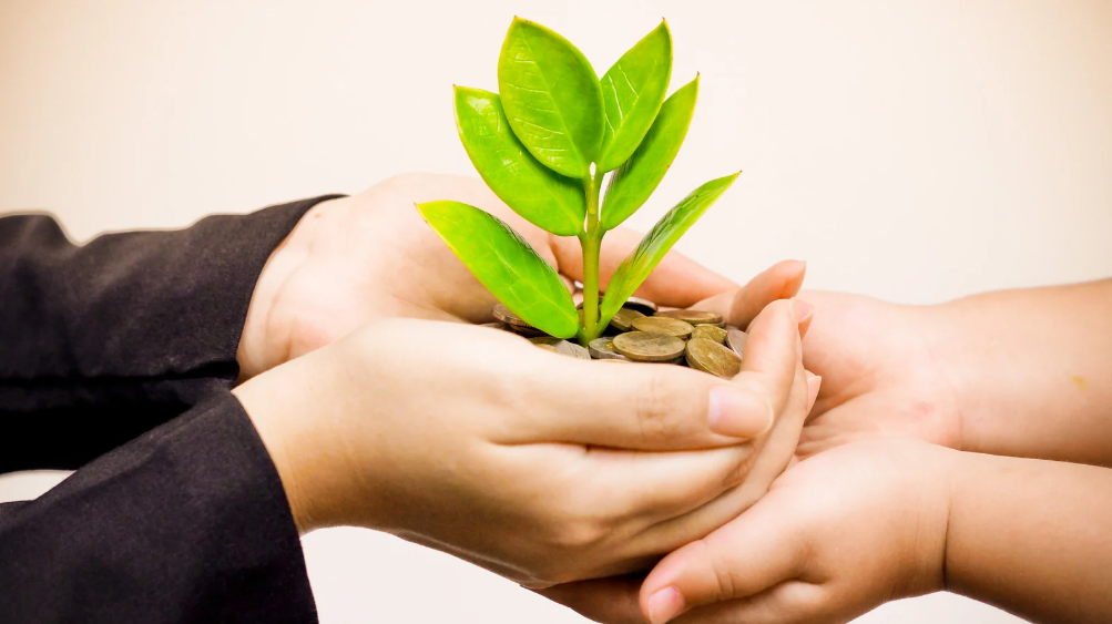 SEEDS blog 5.19